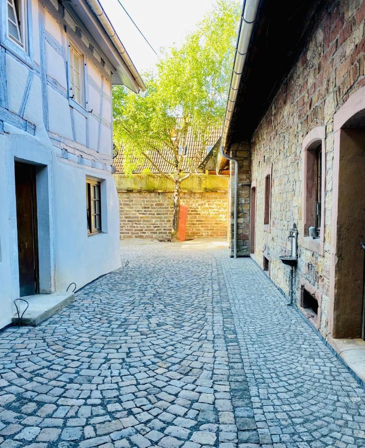 Vintner Suites Neustadt an der Weinstraße Zewnętrze zdjęcie