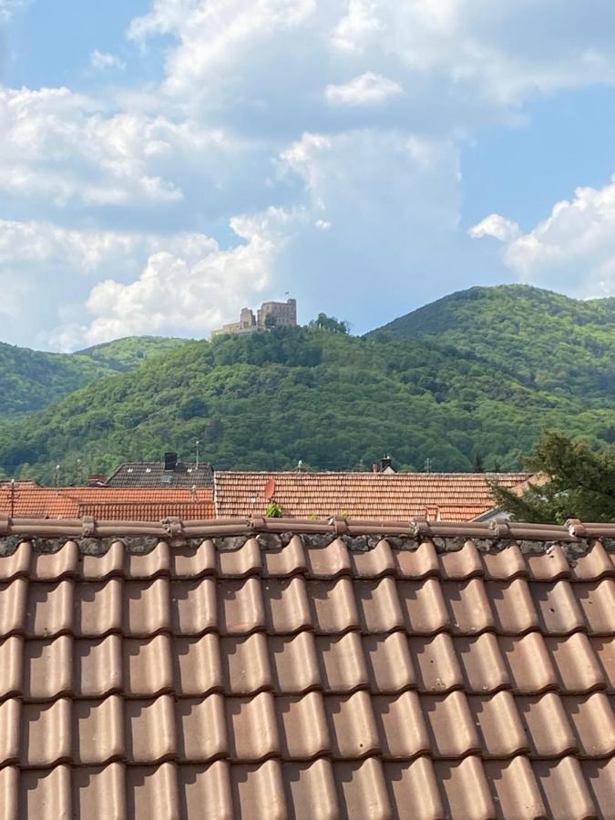 Vintner Suites Neustadt an der Weinstraße Zewnętrze zdjęcie
